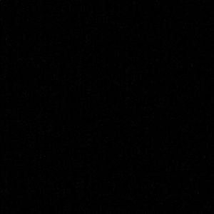 Meet your Posher, Summer